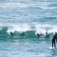 DB0D4171-A71D-4FD0-846A-3F19E5B278DF.gif