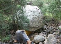 Crawl under that rock.jpg