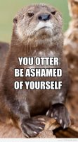 you-otter-be-ashamed-of-yourself-470x853.jpg