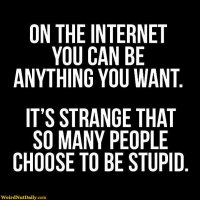 wnd_13acb47ae89a6ae4599260ba458a3c7d.jpg