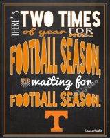 762de98a2ba57b6c051fec7425e8e940--tennessee-volunteers-football-ut-football.jpg