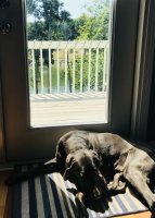 3A798280-D5DE-4F72-9D00-BF7DE2962B72.jpeg