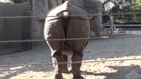 170C6AC7-213E-4009-A97E-69A087515277.gif