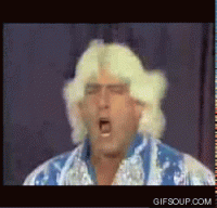 ric flair 1.gif