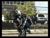 GiddyQuarrelsomeBongo-max-1mb.gif