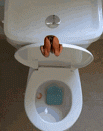 1535797708690.gif