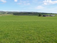 Grassy_Field_Looking_Towards_Mid_Cambushinnie_-_geograph.org.uk_-_179822.jpg