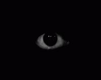 1536759431831.gif