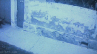 1536959948076.gif