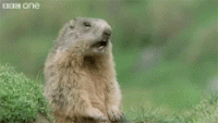 1537070858816.gif