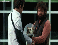 C6BTIR7.gif