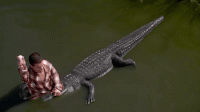 1537546577901.gif