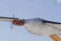 1468254350-awful-nivea-advert-involves-a-seagull-that-poops-sunscreen.gif