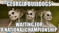 e5259b3aebbe977de7e385bee703a81d--gator-football-house-divided.jpg