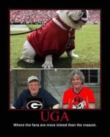 333813cb5270034ac93363ca3ff2c90c--football-memes-florida-gators (1).jpg