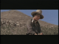 EdibleHopefulKinglet-max-1mb.gif