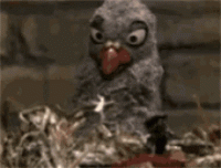 tenor (10).gif