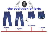 jortsinfographic.jpg