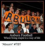 auburn-football-where-being-stupid-is-a-way-of-life-25199739.png