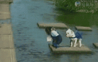 1539313111337.gif