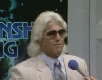 giphy (5).gif