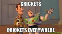 crickets.png
