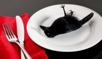 3b-eat-crow-157673813.jpg