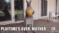 7FA63E0B-2A6D-4778-BBE0-154DCB10F751.gif