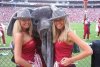 bama_twins_feature.jpg