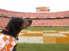 Smokey in Neyland.jpg