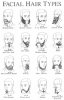 beards.jpg