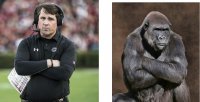 usc 6.jpg