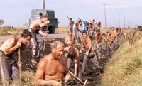 Chain Gang.jpg