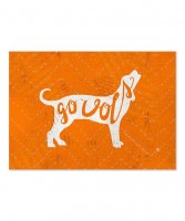 3802cb53217b29676cae1aaca34f292e--tennessee-volunteers-go-vols.jpg