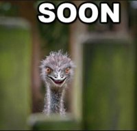 soon2.JPG