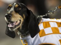 636448168046718845-UT-KentuckyPregame-BP-8.JPG