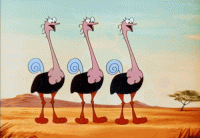 6831E76C-B678-4378-A43F-1FB1B37D5B74.gif