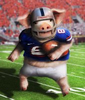 kentucky 34.jpg