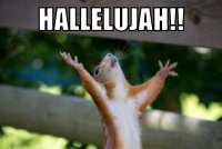 HallelujahSquirrel.0.0.jpg