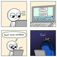 FB_IMG_1541792769665.jpg