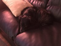 687132E2-0173-492B-9B74-01365EFCD631.jpeg