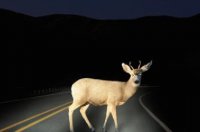 missouri 16.jpg