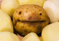 happy-potato-blog-post-2-jul-2014.jpg