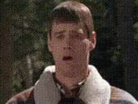 mp4.gif