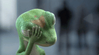 1542868938471.gif