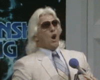 Ric-Flair.gif