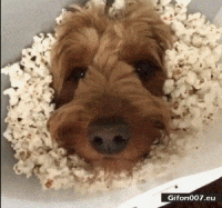 79CA6F5B-5071-4E5F-A0CF-E92564833932.gif