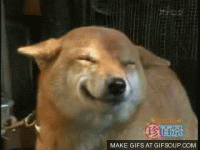 6F488F25-2953-485D-9A8B-30648D8DA2C0.gif