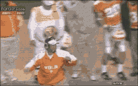 1544033016950.gif