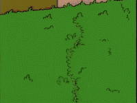 1544071445446.gif